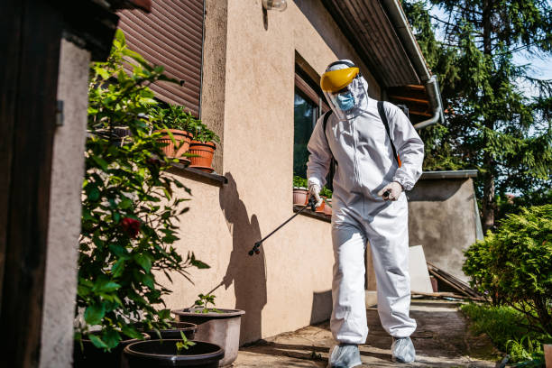 Best Cockroach Control Services  in Elkins, AR
