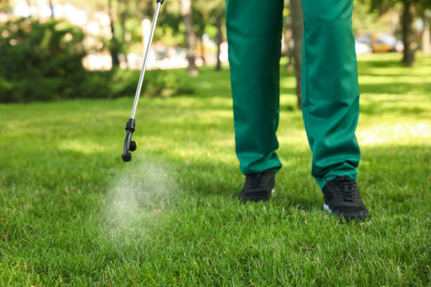 Best Cockroach Control Services  in Elkins, AR