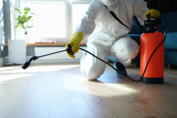 Professional Pest Control in Elkins, AR
