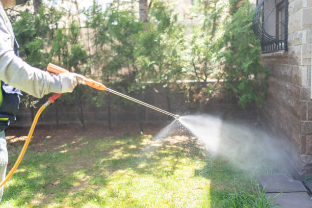Best Termite Control Services  in Elkins, AR