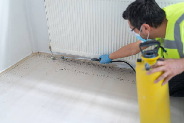 Best Mosquito Control Services  in Elkins, AR